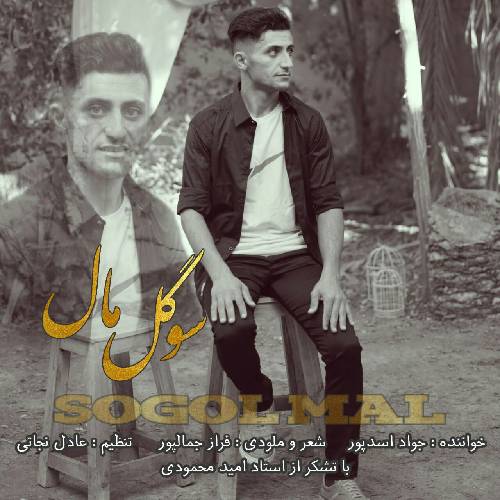 جواد اسدپور سوگل مال